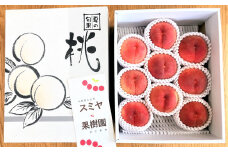 白桃　２.５ｋｇ　特秀品　0047-2501