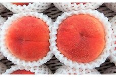 桃（川中島）６～１１玉【３ｋｇ箱に２.７～３.３ｋｇ詰め】　0056-2503