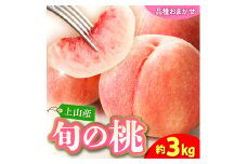 【フルーツ王国直送！】山形旬の桃　３ｋｇ（ゆうぞら、幸茜、白根白桃、紅錦香、他）いずれか１品種　0033-2506