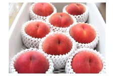 桃（葉取らず桃）２～２.５ｋｇ　0015-2501