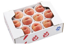 季節の桃（品種おまかせ）３ｋｇ　0060-2512