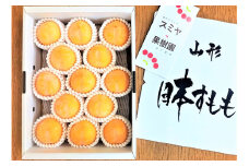 すもも（峰満イエロー）２ｋｇ　特秀品　0047-2505