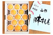 すもも（峰満イエロー）２ｋｇ　特秀品　0047-2505