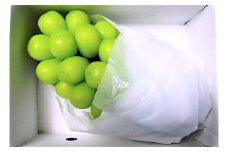 ぶどう（シャインマスカット）７００ｇ　１房　0017-2511