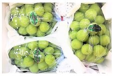 ぶどう（シャインマスカット）２ｋｇ　0017-2513