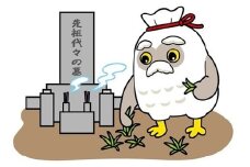 お墓のお掃除代行　６平方メートル～１０平方メートル未満　0109-2502