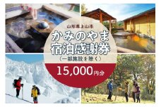 上山市ふるさと納税感謝券１５,０００円分　0023-2205