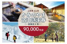 上山市ふるさと納税感謝券９０,０００円分　0023-2208