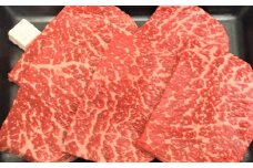山形牛モモステーキ　１００ｇ×５枚　0002-2208