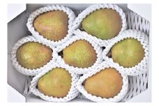 西洋梨（ラ・フランス）２ｋｇ　特秀品　0056-2518
