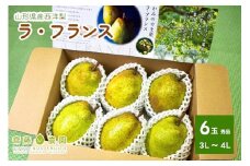 西洋梨（ラ・フランス）６玉　0037-2505
