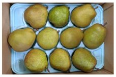 西洋梨（ラ・フランス）６ｋｇ　ご家庭用　0011-2505