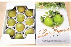 西洋梨（ラ・フランス）３ｋｇ　贈答用　化粧箱入り　0110-2506