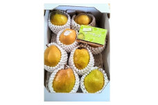 西洋梨（ラ・フランス）３ｋｇ　特秀品　0044-2505