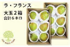 西洋梨（ラ・フランス）６ｋｇ　大玉　ご家庭用　0062-2505