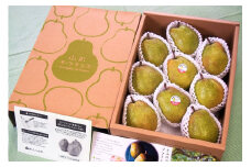 西洋梨（ラ・フランス）３ｋｇ　特秀品　化粧箱詰め　0037-2507