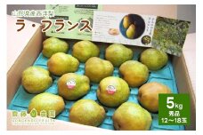 西洋梨（ラ・フランス）５ｋｇ　0037-2509