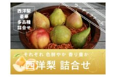 西洋梨３～４種食べ比べセット　５ｋｇ　ご家庭用　0062-2504