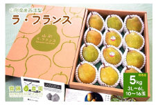 西洋梨（ラ・フランス）５ｋｇ　特秀品　化粧箱詰め　0037-2510