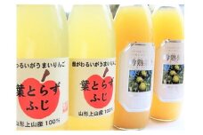 【２０２６年１月下旬から発送】葉とらずサンふじと濃厚ラ・フランス１００％ジュース詰合せ　４本　0075-2516