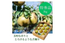 西洋梨（ラ・フランス）３ｋｇ　大玉　特秀品　贈答用　0055-2516