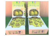 西洋梨（ラ・フランス）３ｋｇ　特秀品　0089-2502