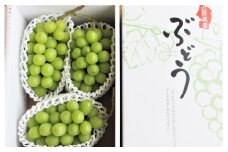 ぶどう（シャインマスカット）１.５ｋｇ　ご家庭用　0085-2502