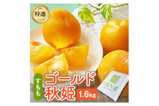 【数量限定】プラム（ゴールド秋姫）１.６ｋｇ　秀品　0106-2507