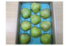 西洋梨（ラ・フランス）３ｋｇ　ご家庭用　0110-2505