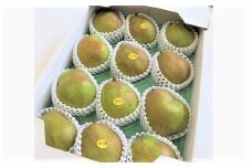 西洋梨（ラ・フランス）６ｋｇ　贈答用　0075-2510