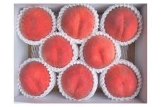 桃（さくら）６～１１玉【３ｋｇ箱に２.７～３.３ｋｇ詰め】　0056-2504