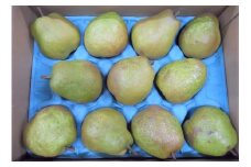 西洋梨（ラ・フランス）３ｋｇ　ご家庭用　0017-2516