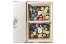 ぶどうの宝石箱（品種いろいろ、粒のみ詰合せ）　５００ｇ×２パック　0065-2503