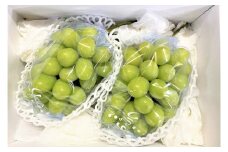 ぶどう（シャインマスカット）１.５ｋｇ　0126-2501