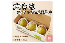 西洋梨（ラ・フランス）３玉　大玉　特秀品　0055-2518