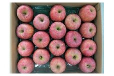 りんご（サンふじ）５ｋｇ　１１～２０玉　ご家庭用　0056-2519