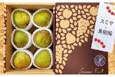 西洋梨（ラ・フランス）４ｋｇ（２ｋｇ×２箱）特秀品　0047-2511