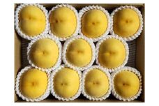 【数量限定】桃（黄貴妃）３ｋｇ　特秀品　0106-2504