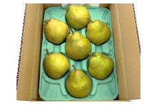 西洋梨（ラ・フランス）６ｋｇ　大玉　ご家庭用　0009-2512