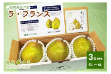 ラ・フランス　大玉３玉（６Ｌ～５Ｌ）特秀品　0037-2504