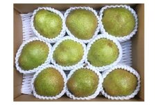 西洋梨（ラ・フランス）３ｋｇ　ご家庭用　0134-2501