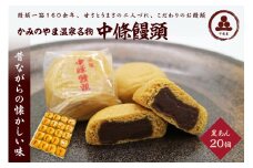 中條饅頭　黒あん２０個　0133-2305