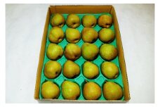 ラ・フランス　４.６ｋｇ　２０玉　Ｍ・Ｌサイズ混合　ご家庭用　0012-2514