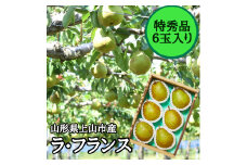 西洋梨（ラ・フランス）　６玉　特秀品　0055-2519