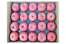 りんご（サンふじ）５ｋｇ　２０玉　特秀品　0056-2521