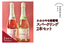 かみのやま産葡萄　スパークリング　２本セット　0141-2406