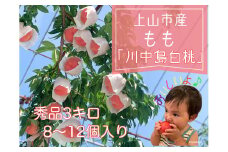 桃（川中島）３ｋｇ　0120-2501