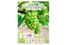 ぶどう（シャインマスカット）２～３房　合計１.２ｋｇ　0120-2502