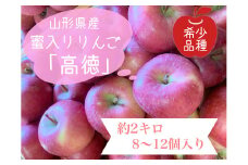 りんご（こうとく）２ｋｇ　８～１２個　秀品・ご家庭用混合　0120-2503
