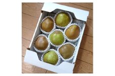ゴールドラ・フランスとラ・フランス詰合せ　３ｋｇ　秀品　0096-2503